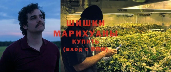 PSILOCYBIN Алексеевка