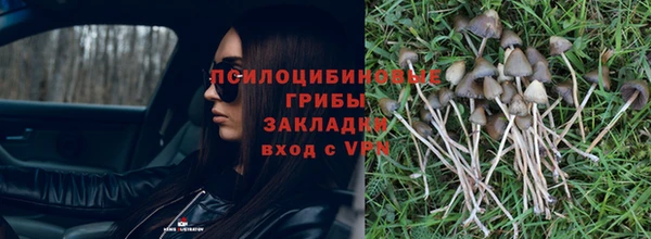 соль курить ск Алзамай