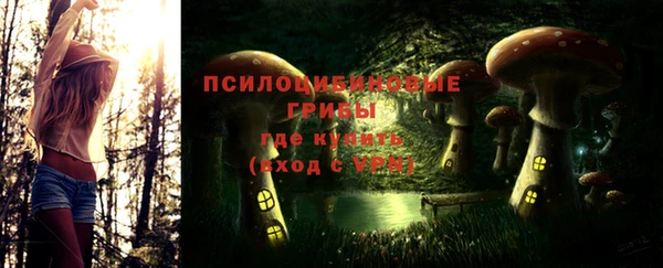 PSILOCYBIN Алексеевка