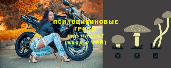 соль курить ск Алзамай